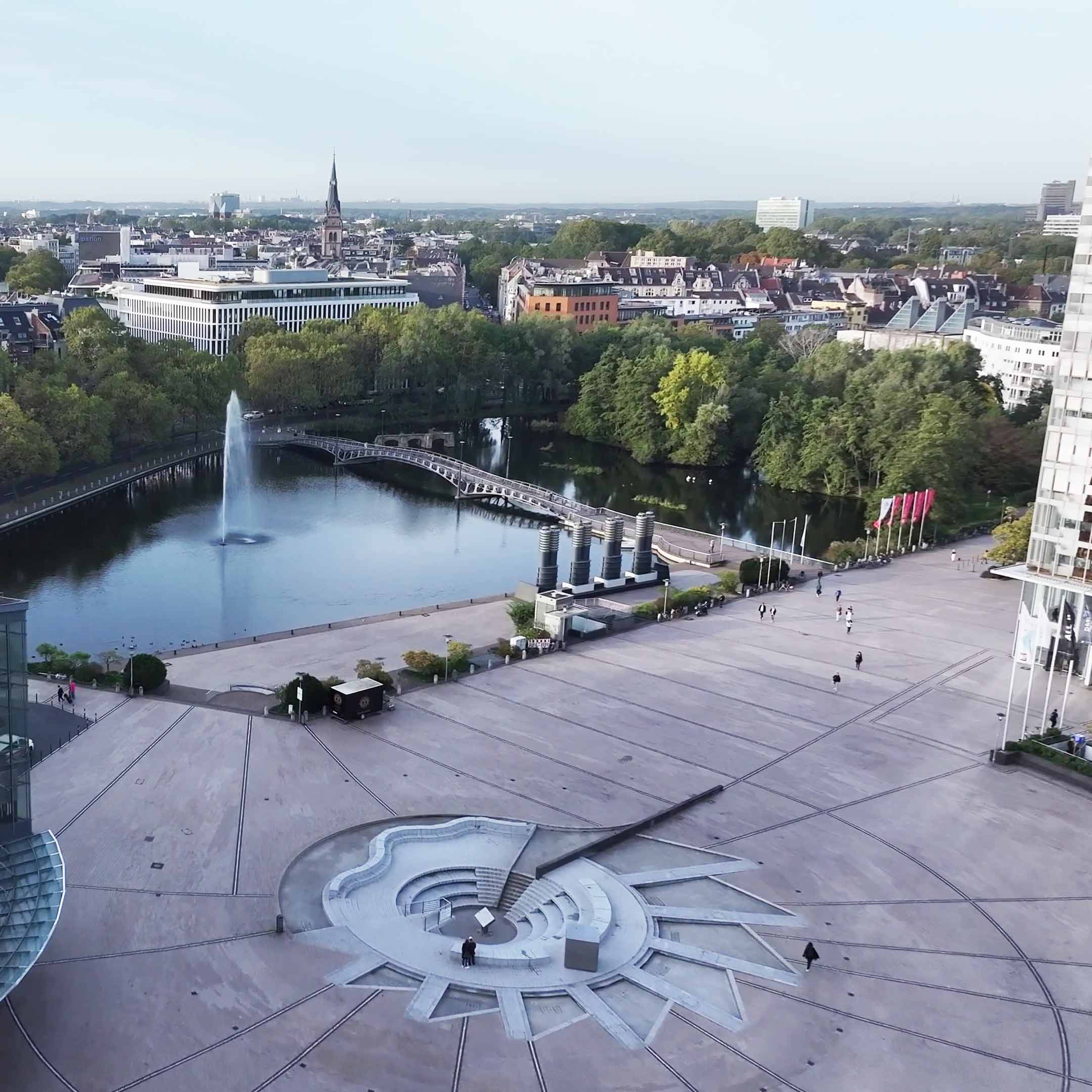 Kanadagänse im MediaPark: Füttern verboten!